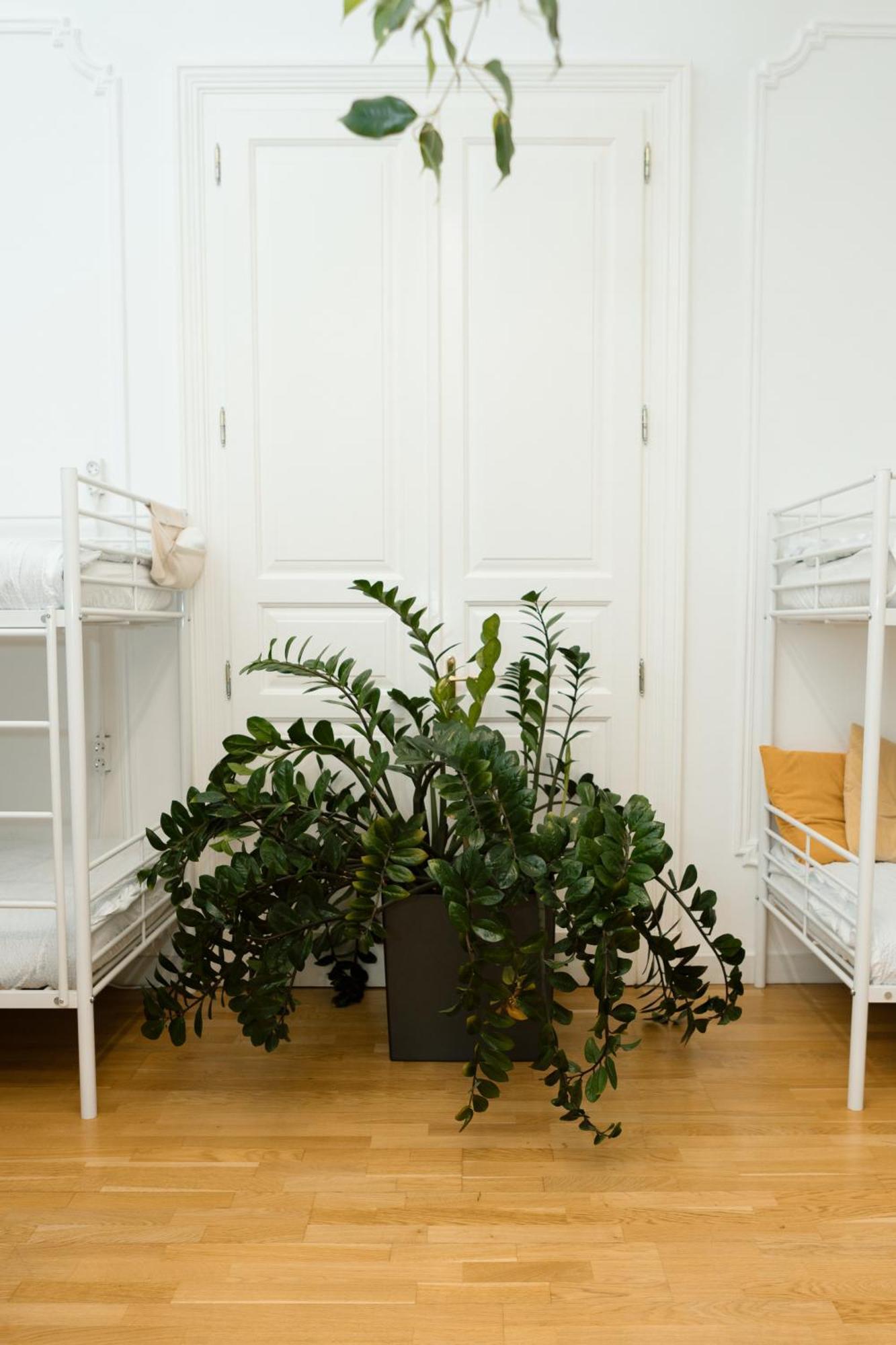 Apartman Jupiter Buda